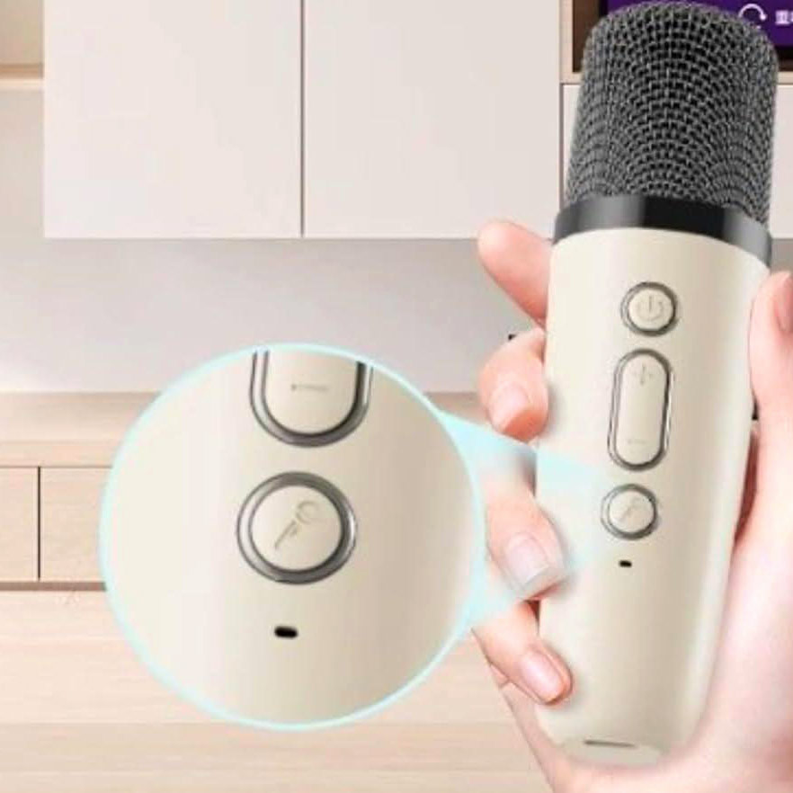 اسپیکر بلوتوث دومیکروفون بیسیم 6852 - Image 9