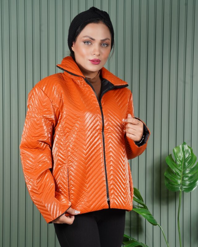 کاپشن برند ورنی